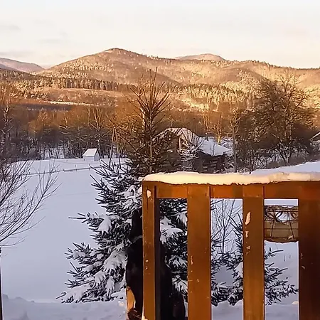 Dom Coacha I Mentora Апартаменты *