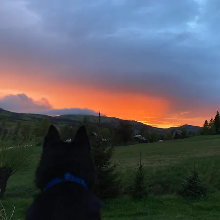 アパート Dom Coacha I Mentora *