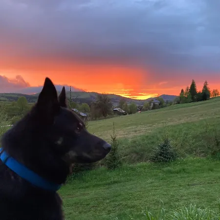 Dom Coacha I Mentora *