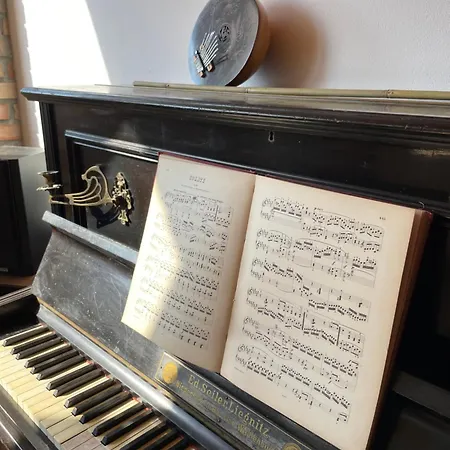 Апартаменты Dom Coacha I Mentora Высова-Здруй