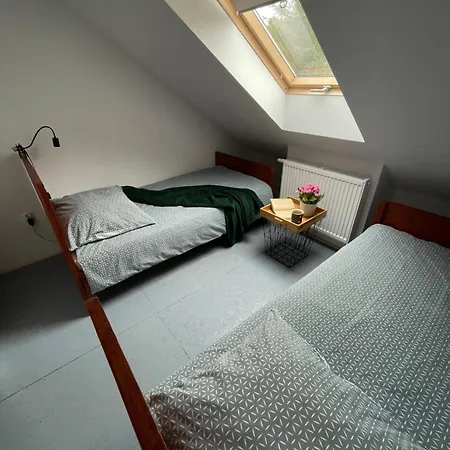 Dom Coacha I Mentora *