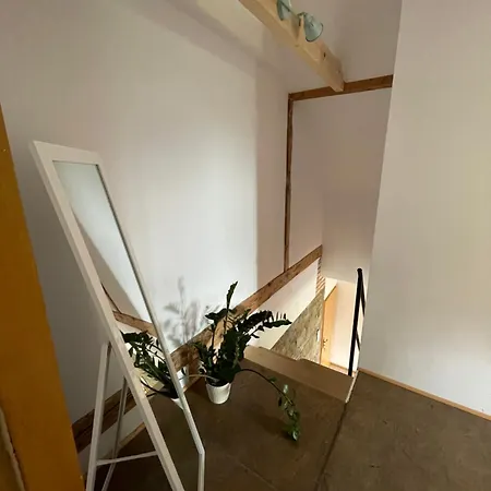 Апартаменты Dom Coacha I Mentora Высова-Здруй