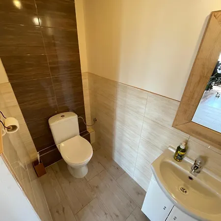 Dom Coacha I Mentora アパート Wysowa-Zdrój