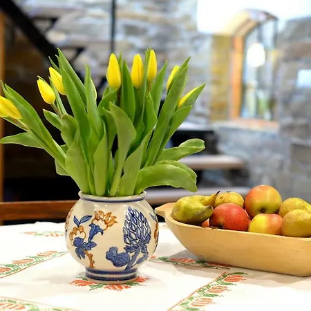 Apartment Dom Coacha I Mentora Wysowa-Zdroj