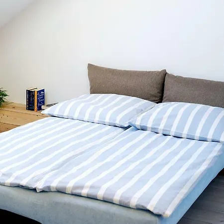 Dom Coacha I Mentora *