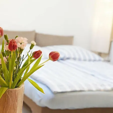 Dom Coacha I Mentora アパート *