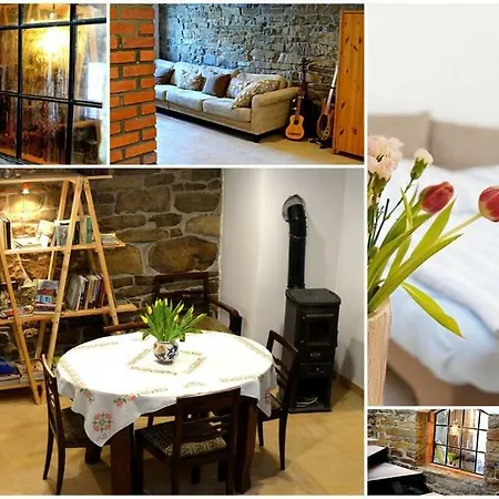 Dom Coacha I Mentora